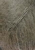 MOHAIR LUXE BEIGE